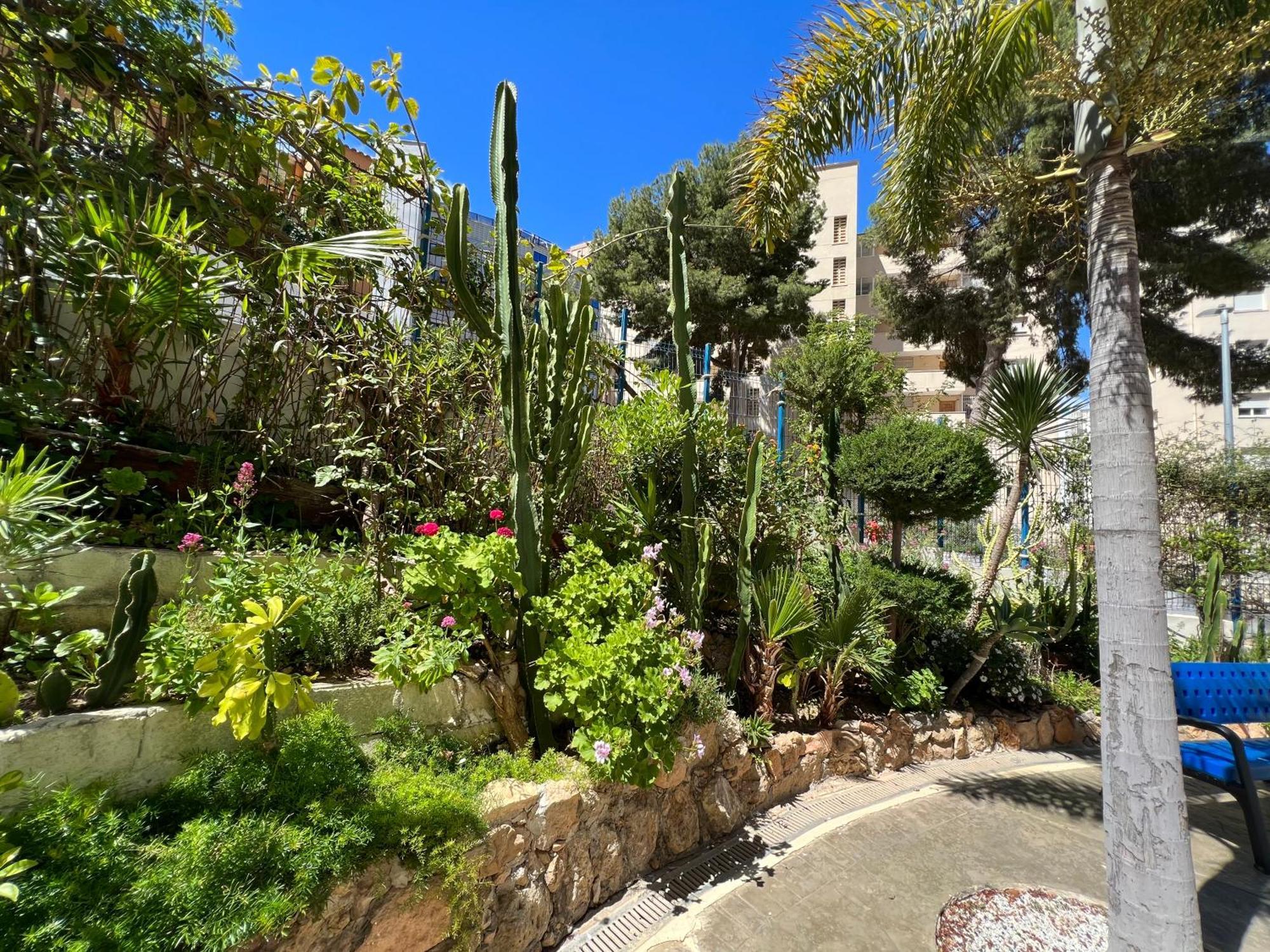 Vistahermosa 22 Бенидорм Екстериор снимка